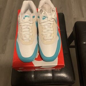 Nike Air Max 1 Cactus Dust